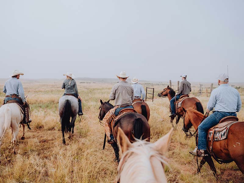 Cowboys on Horses