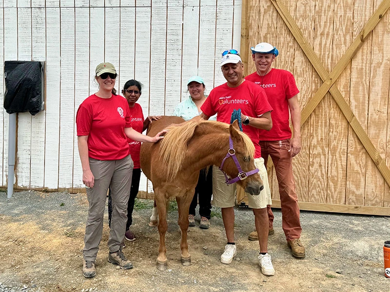 Wells Fargo Volunteers