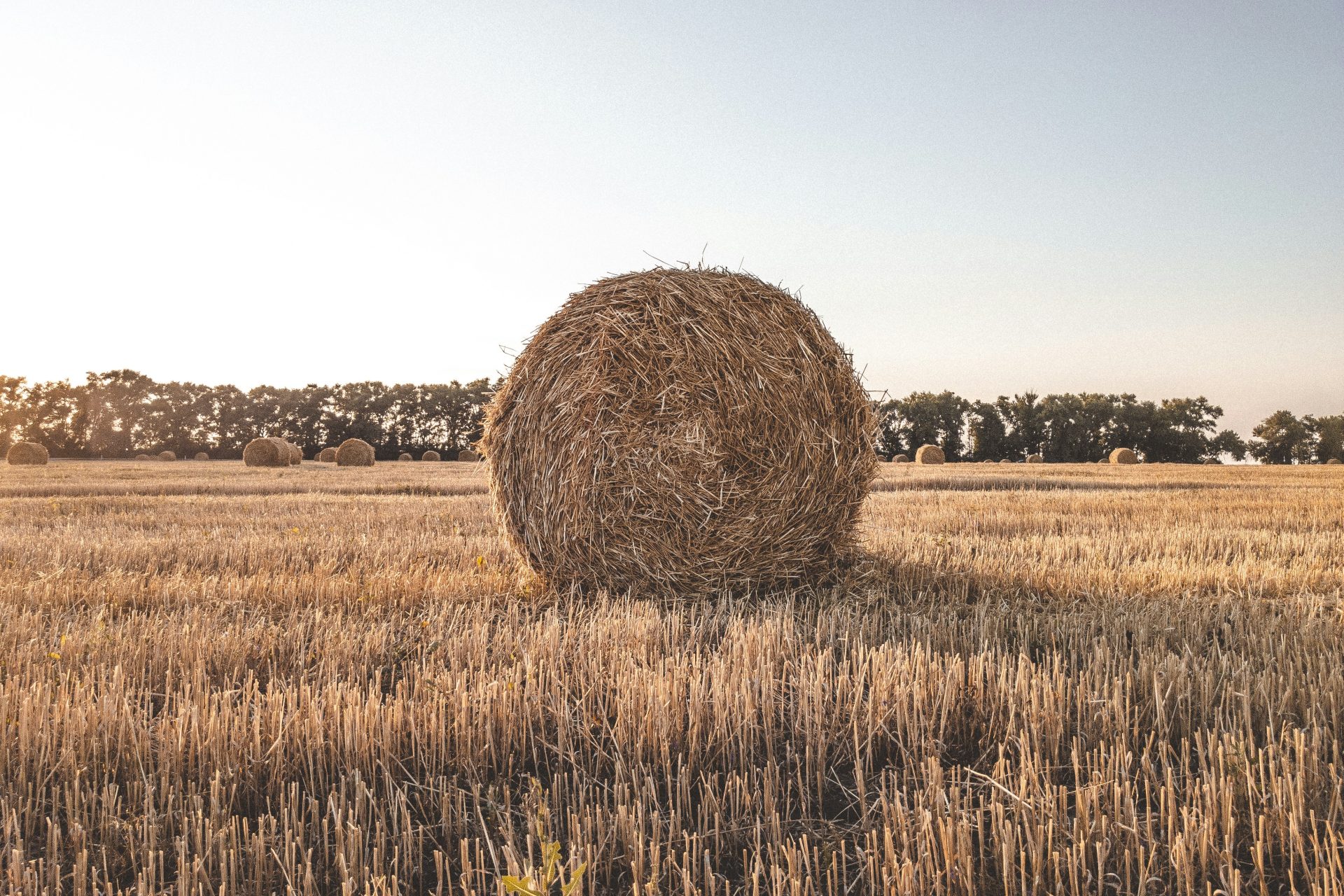 Round Bale