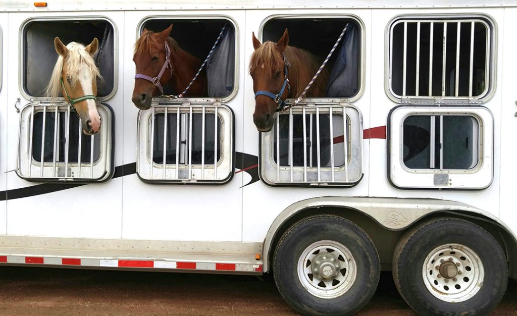 Horse Trailer