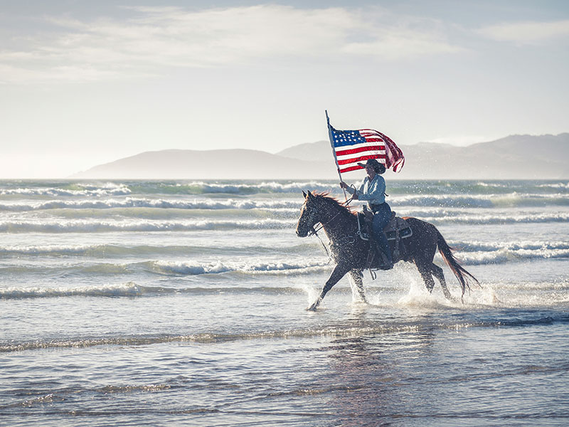 Horse and American Flag