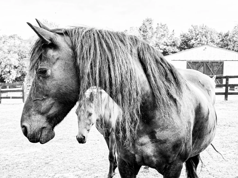 Kiah & Star